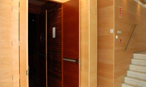 Wooden acoustic door